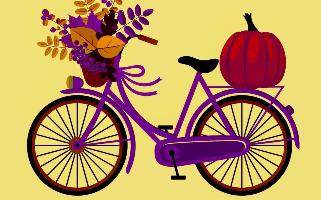 Atelier de co-réparation vélo 1