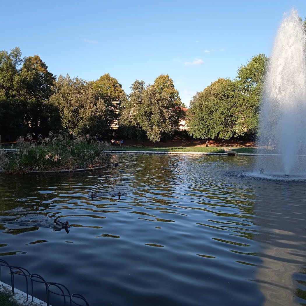 Parco Villa Vogel 1