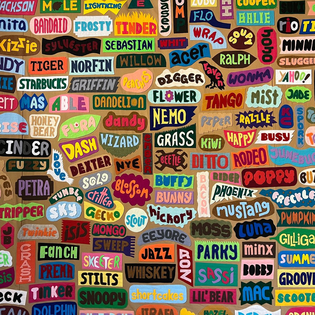 Wassaic Project 3