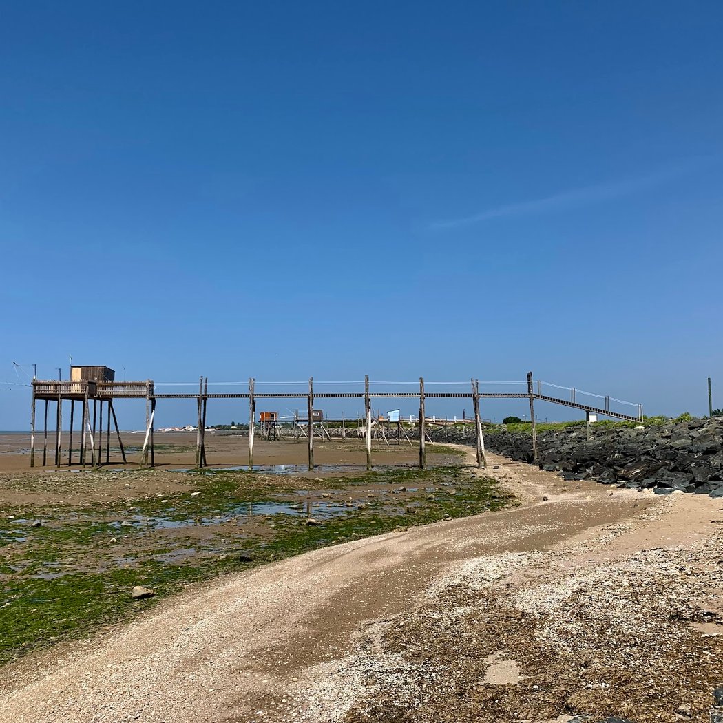 Réserve naturelle de la baie et marais d'Yves 3