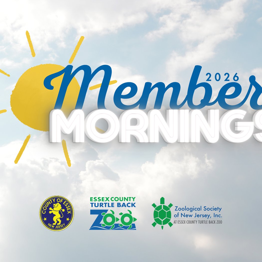 Member Mornings
