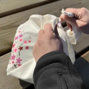 Hanami 2