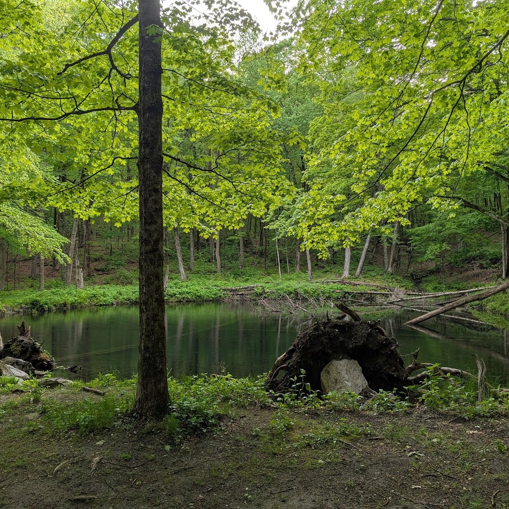 Kennedy Park 3