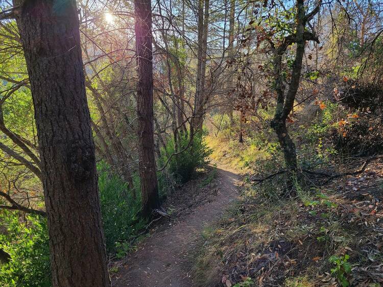 EcoFitness Hike 2