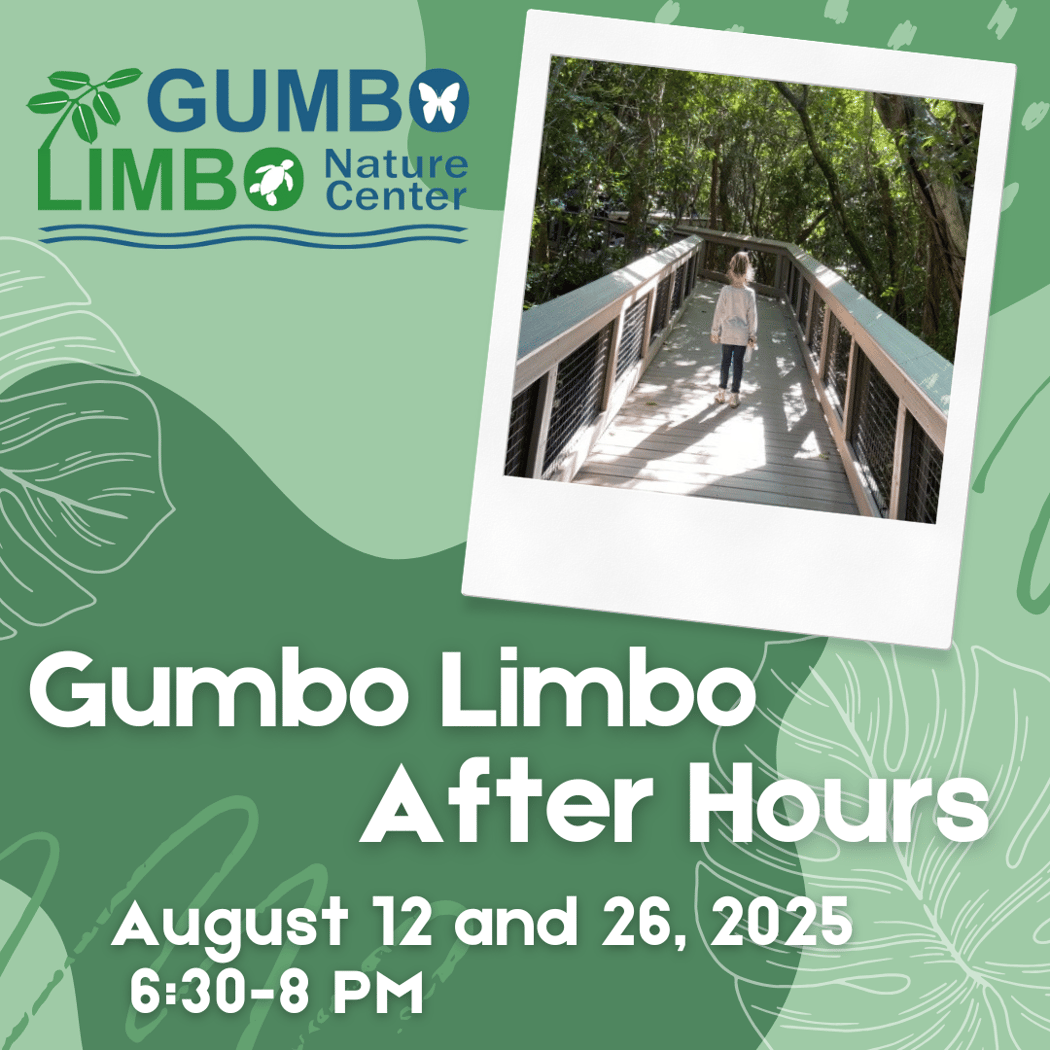 Gumbo Limbo After Hours Tour 1