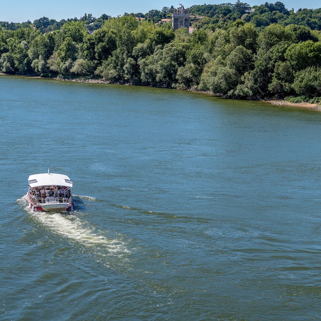 Boat Luce - Cruises in Loire 3