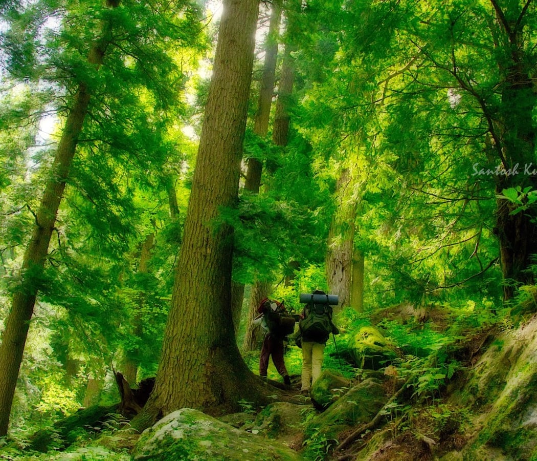 Bangalore Hikers 1