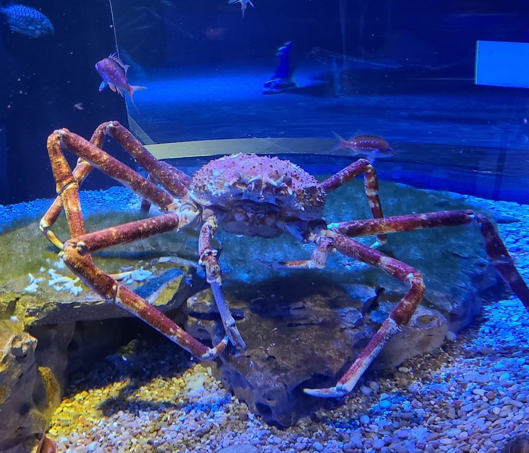 New York Aquarium Education Department 2