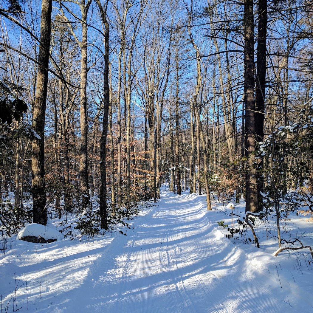 Fahnestock Winter Park 2