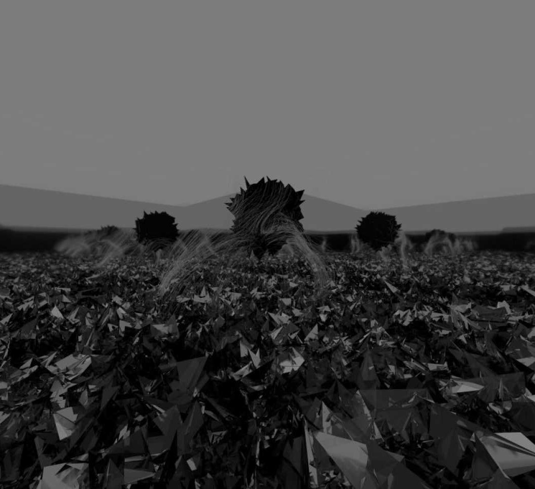 Shadow Meadow 1