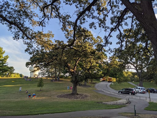 Paws in the Park 1