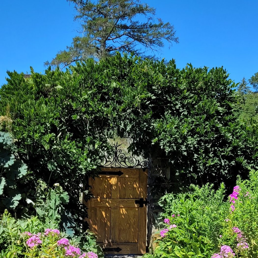Storytelling through Garden Photography with Lori Adams 3