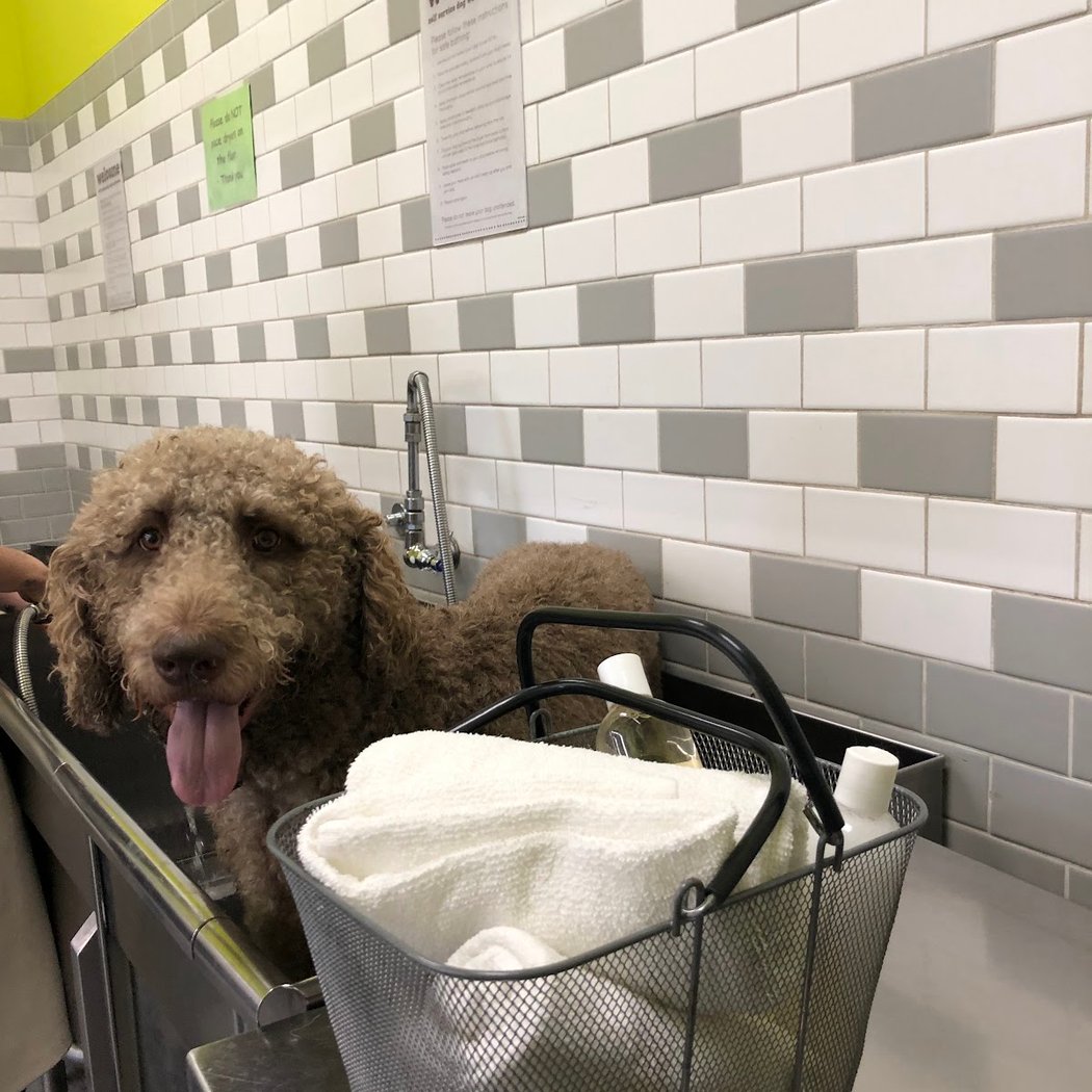 Unleashed by Petco 1