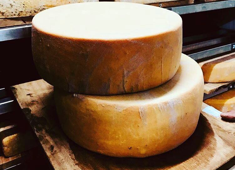 Begum Victoria Cheese 2