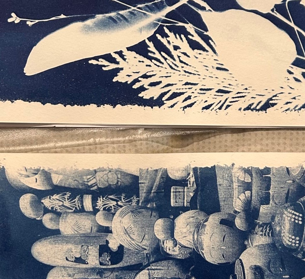 STAGE DE CYANOTYPE 2
