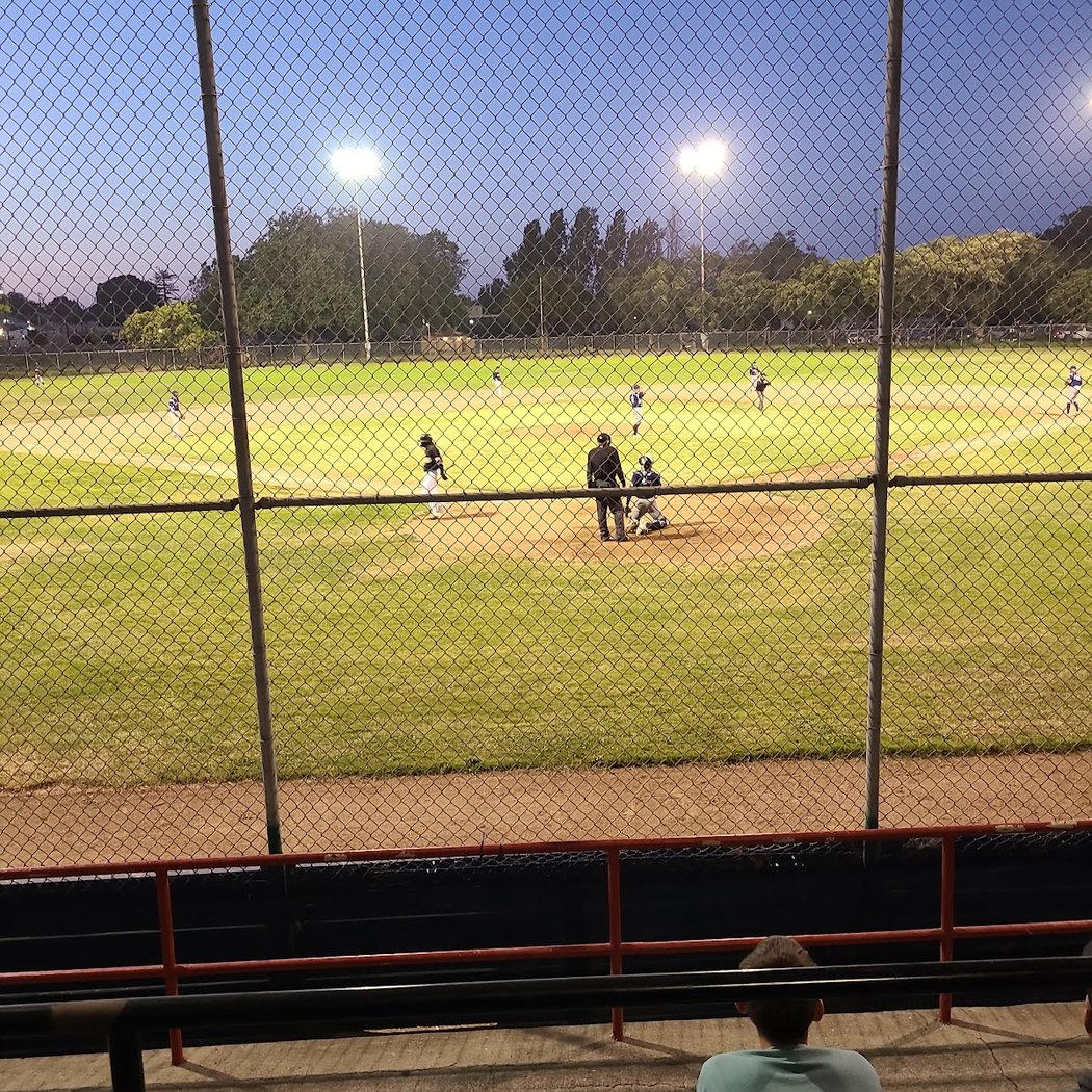 Wilson Park 4