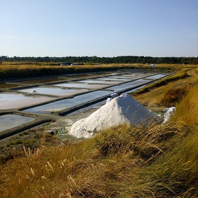 Saline "Tenue de Mareil" (vente de sel) 3