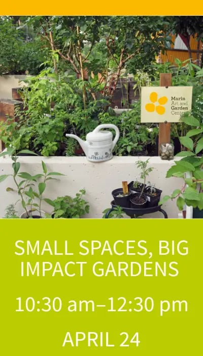 Small Spaces, Big Impact Gardens 1