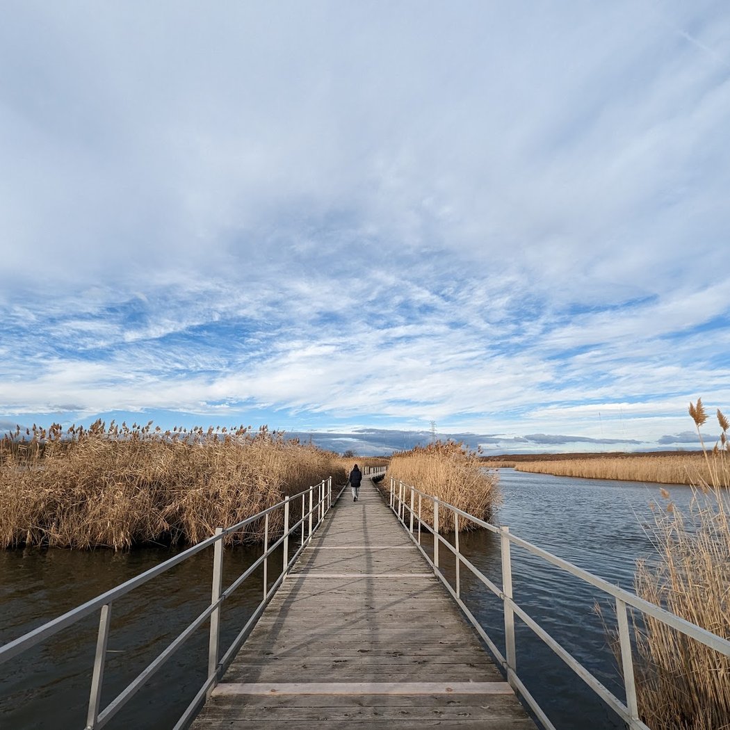 Richard W. DeKorte Park 1