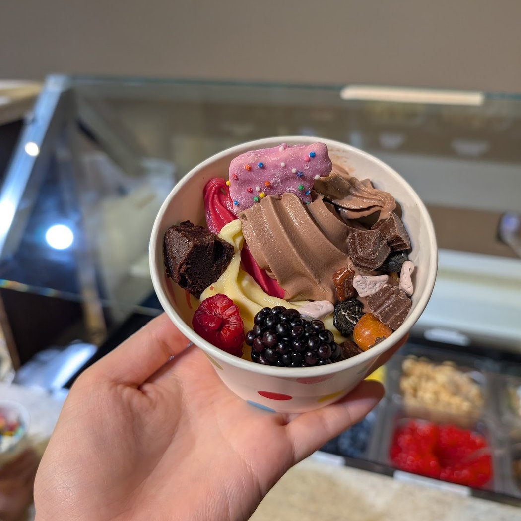Ians Yogurt 1