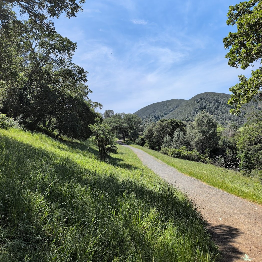 Diablo Trail Run 1