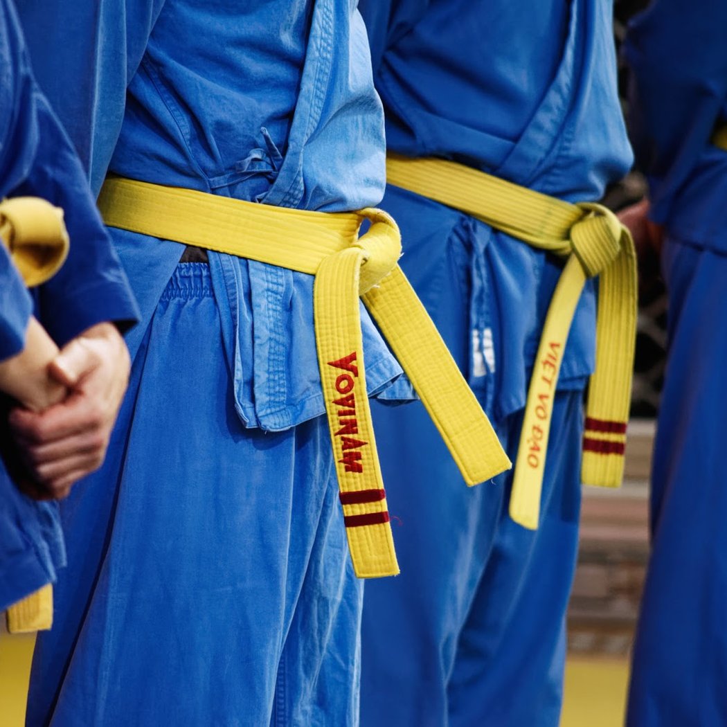Vovinam Rosny 2