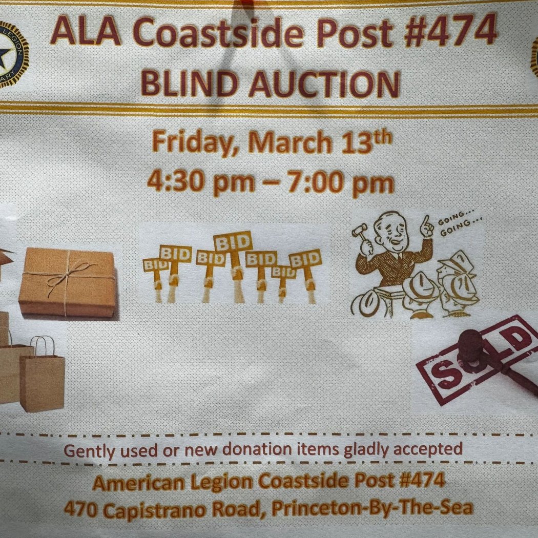 Auxiliary Spring Blind Auction 1