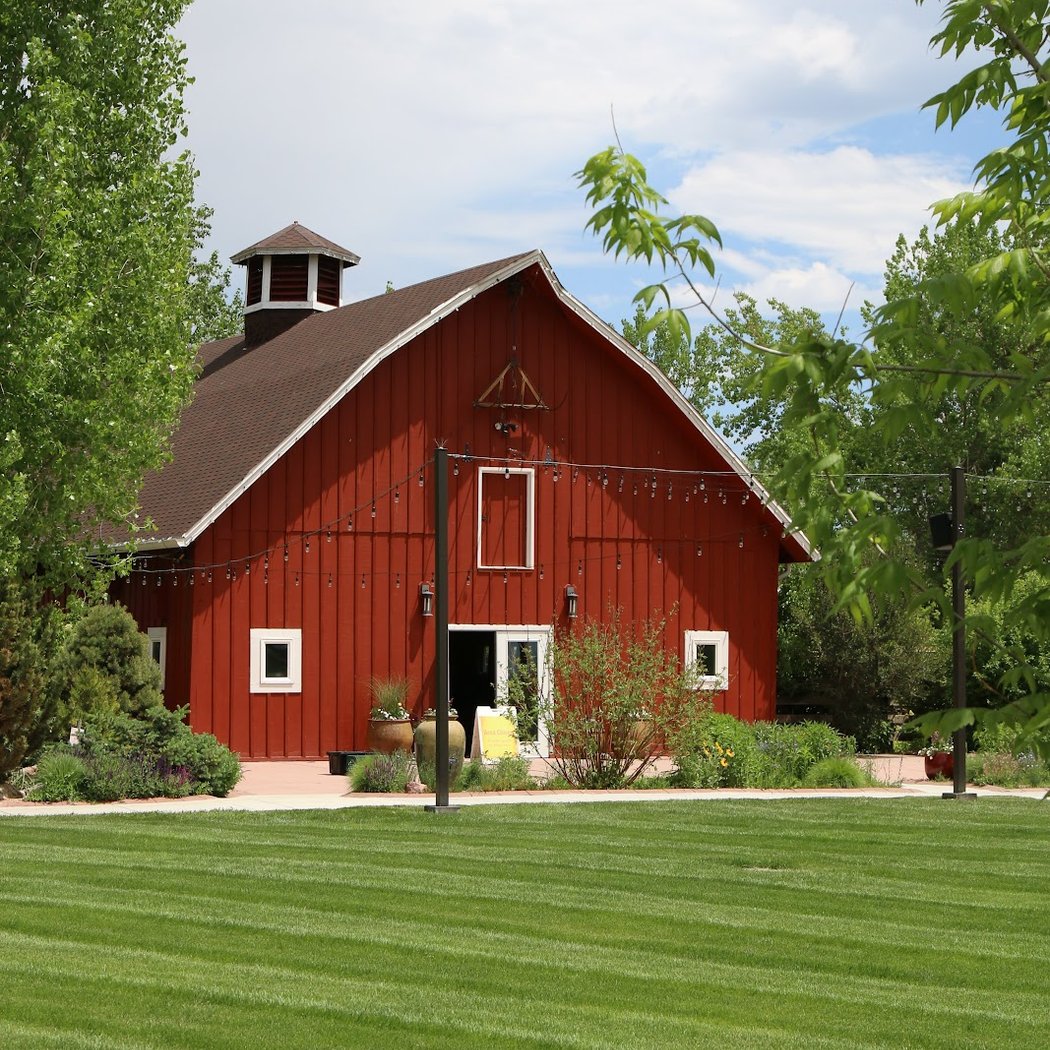 Mindful Birdwatching at Chatfield Farms 3