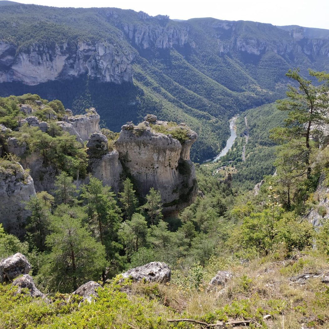 Cévennes 1