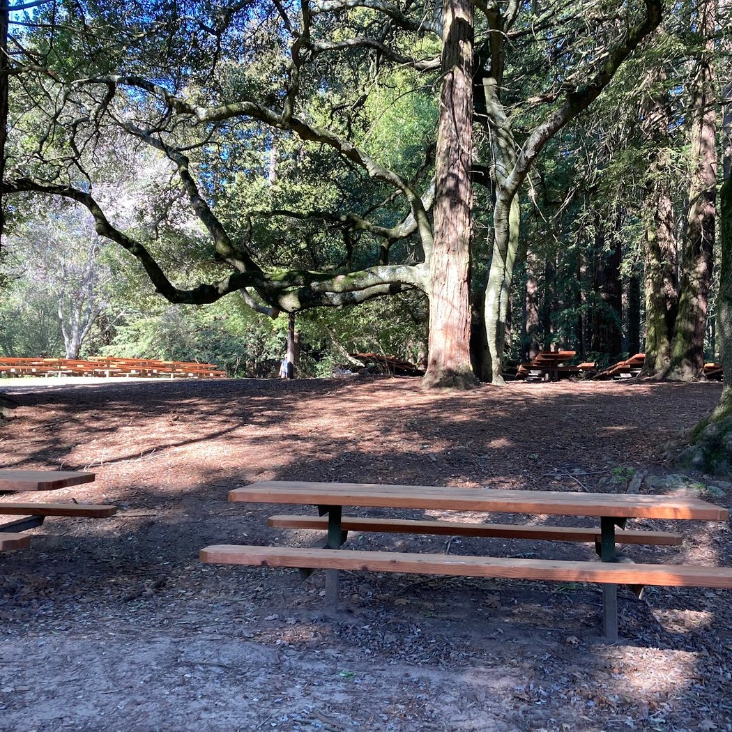Bay Vista Picnic Area 2