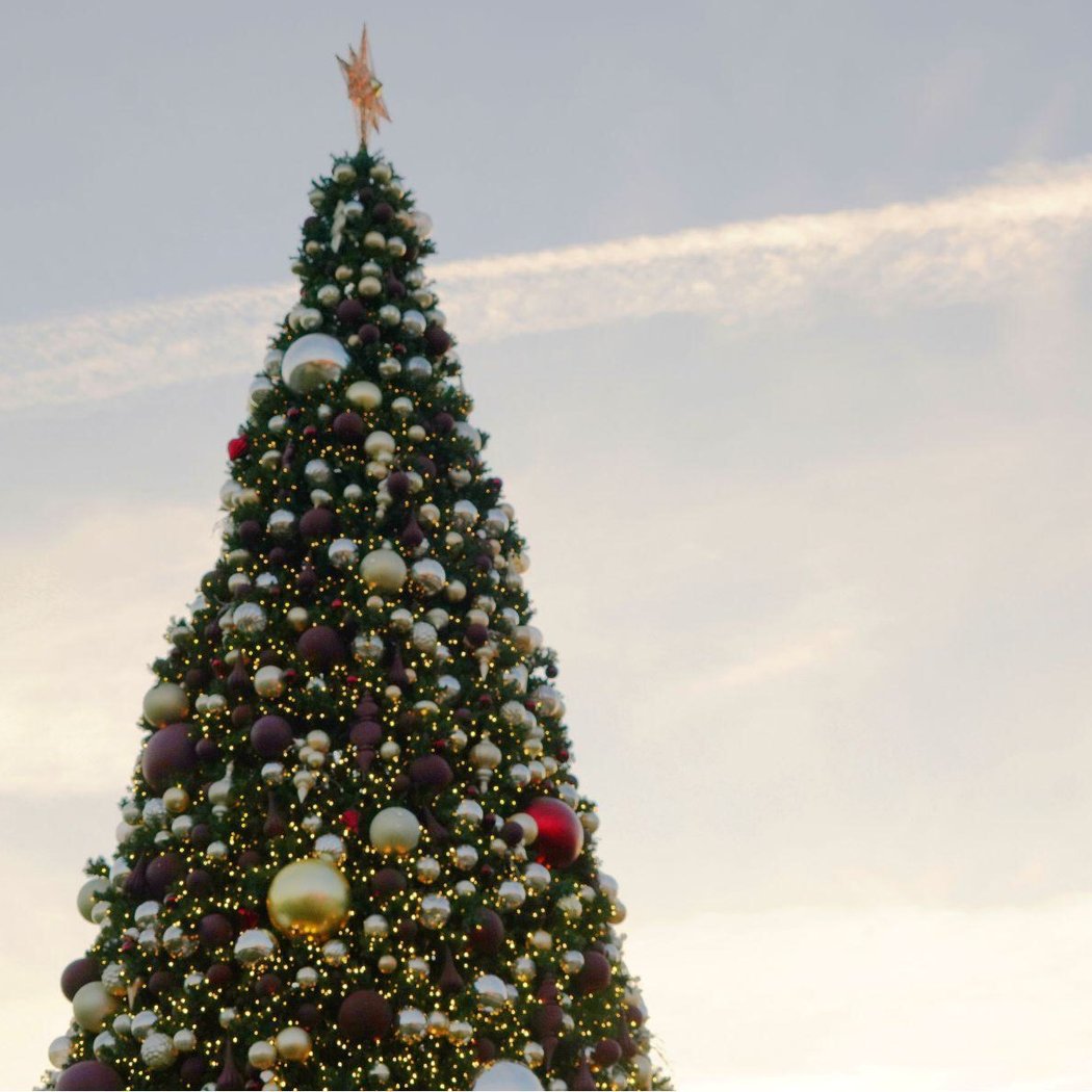 Annual Merry Meritage Tree Lighting 2