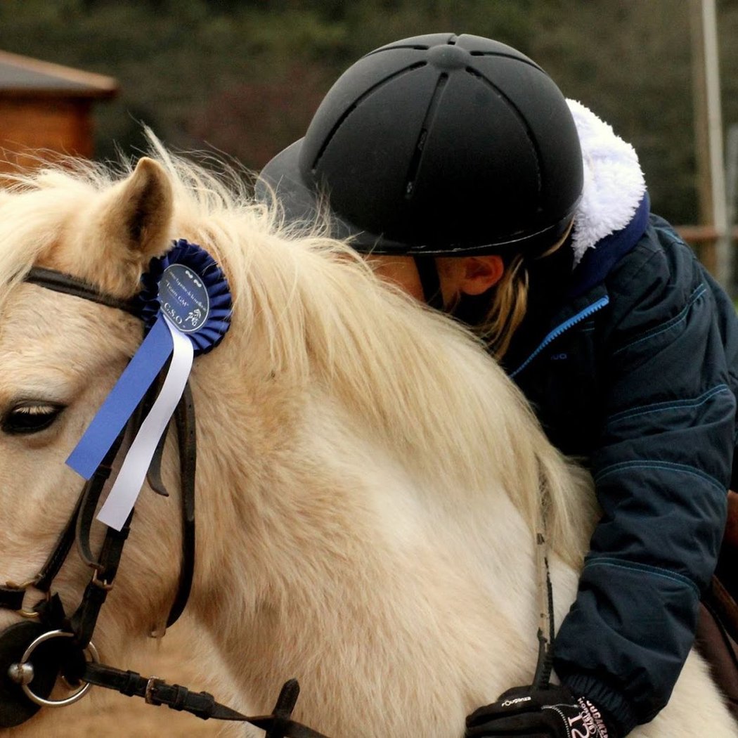 Equestrian Center La Meilleraie 1