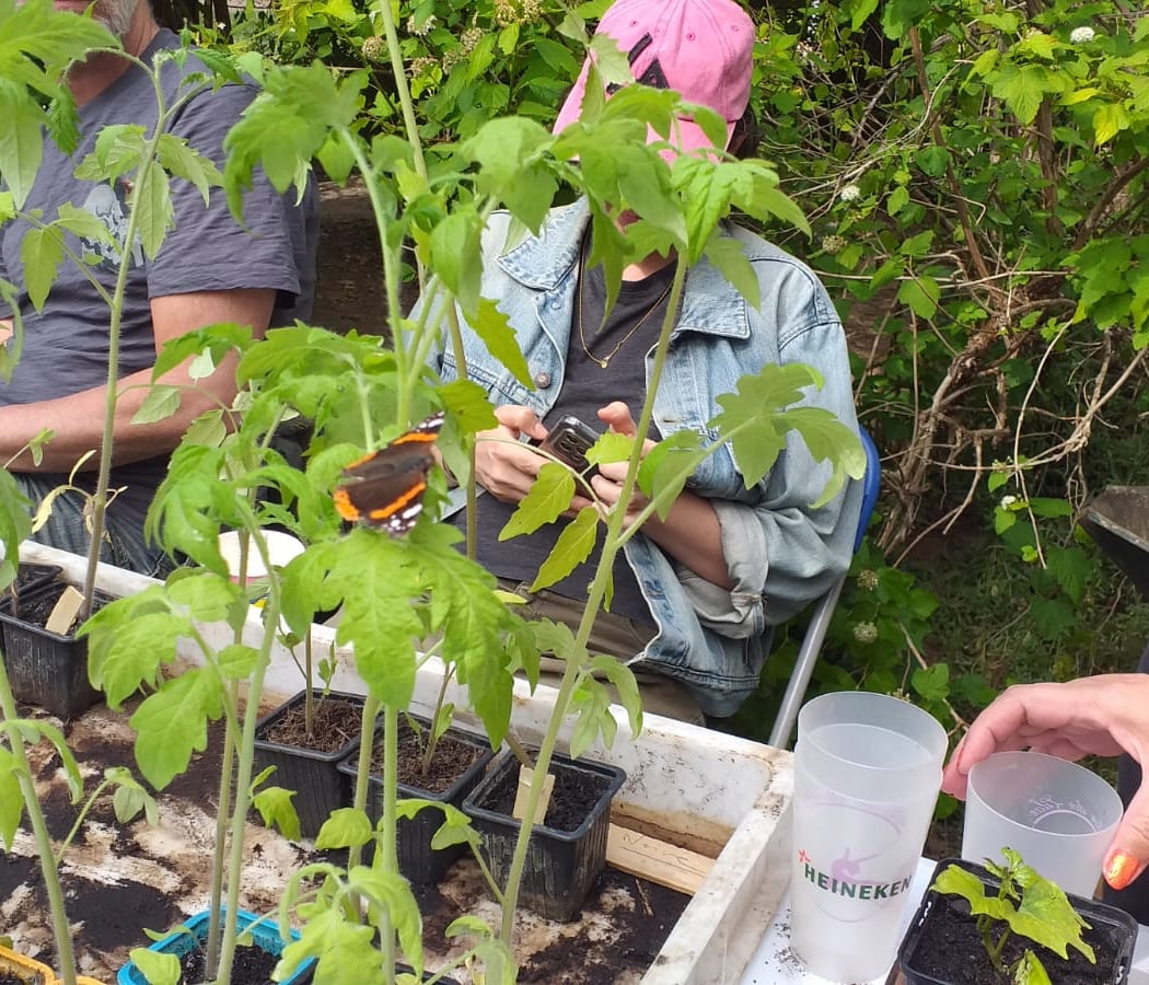 et Compost Partagés CAPDCV "C'est Arrivé Près De Chez Vous" Garden 4