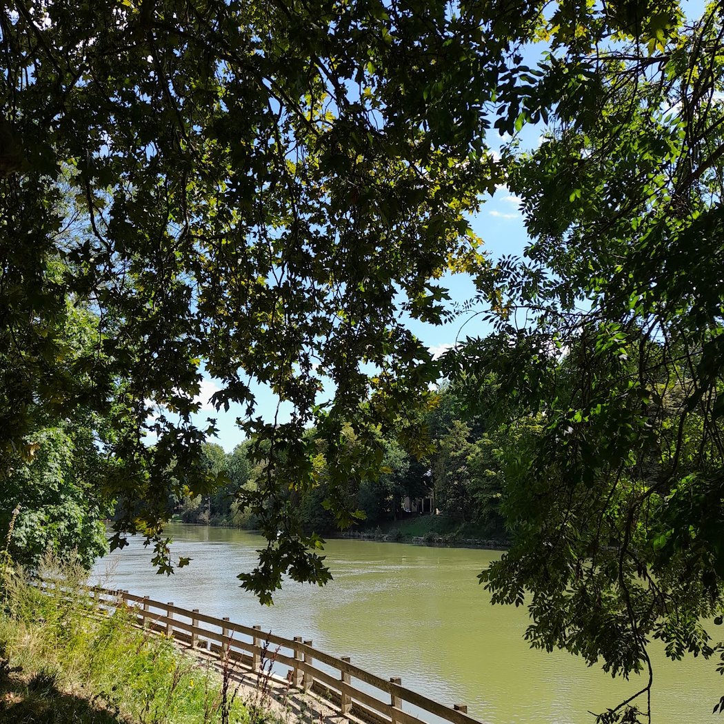 Bords de Marne 3