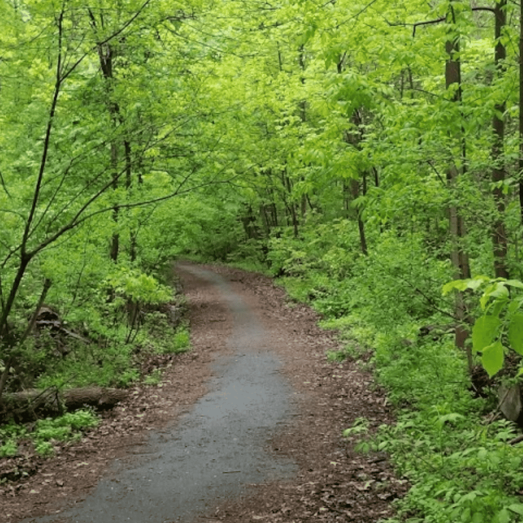Inwood Hill Nature Center 3