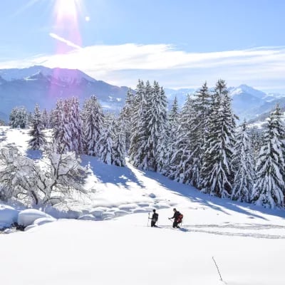 La Plagne Vallée | Office de Tourisme 1