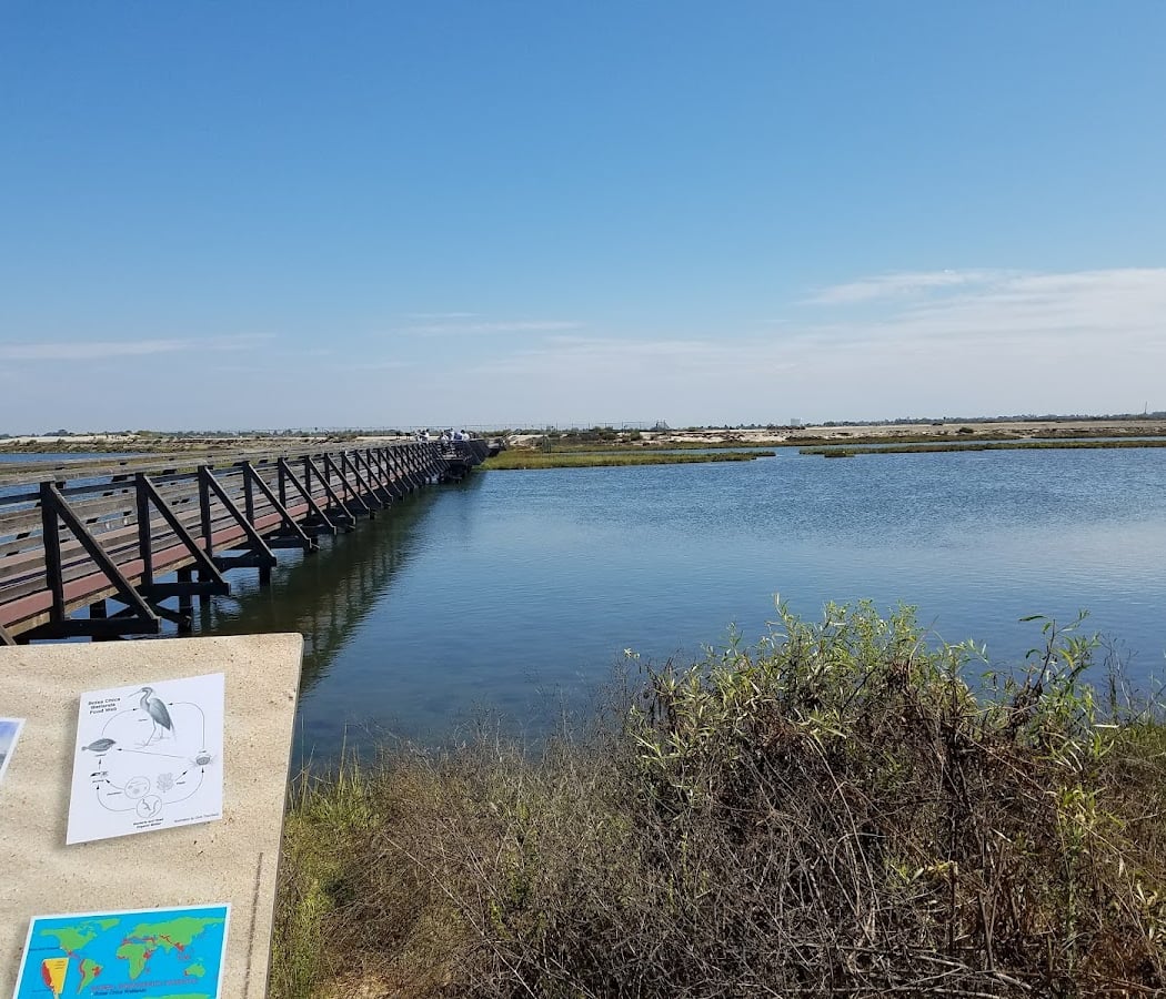 Bolsa Chica Ecological Reserve Free Public Tour 2