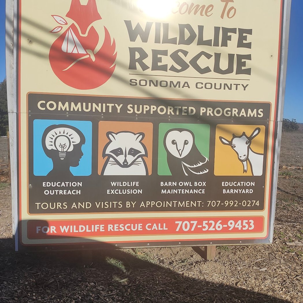 Sonoma County Wildlife Rescue 2