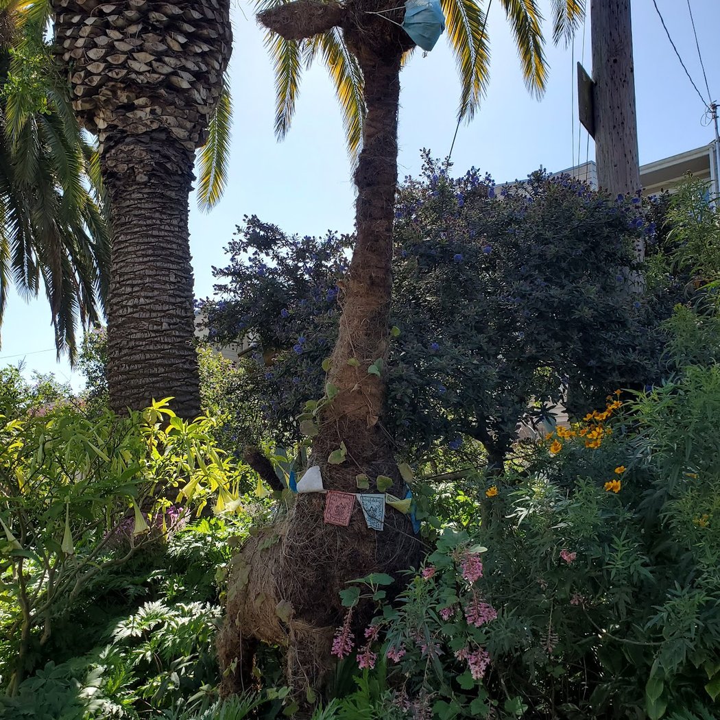 Quesada Gardens Initiative 1