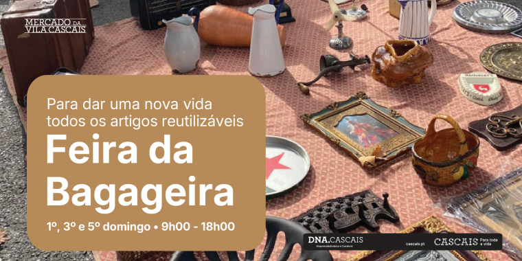 Feira da Bagageira 1