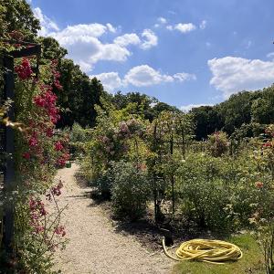 Visite historique de la Roseraie du Val-de-Marne