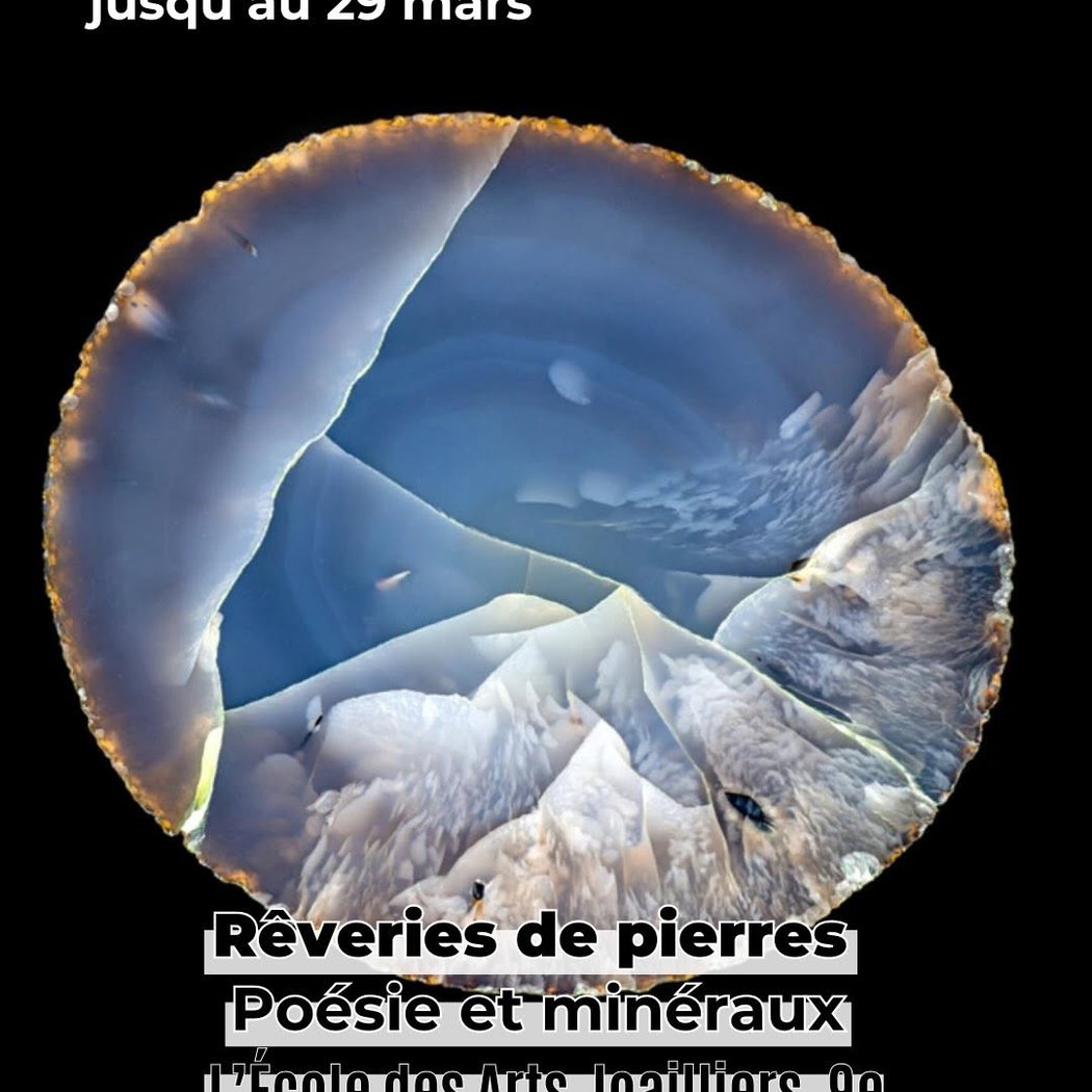 Roger Caillois : L’Écriture des pierres 1