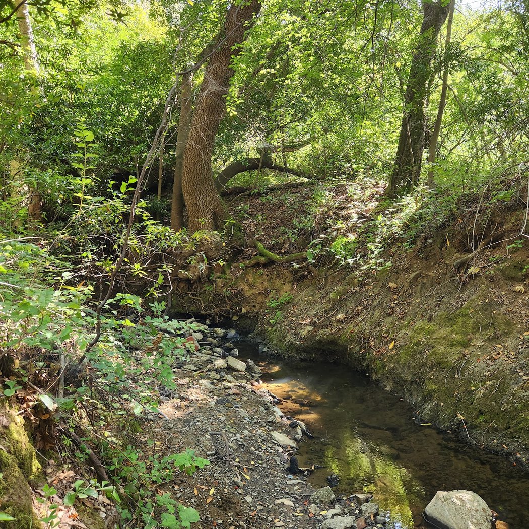Ward Creek Trail Head 2