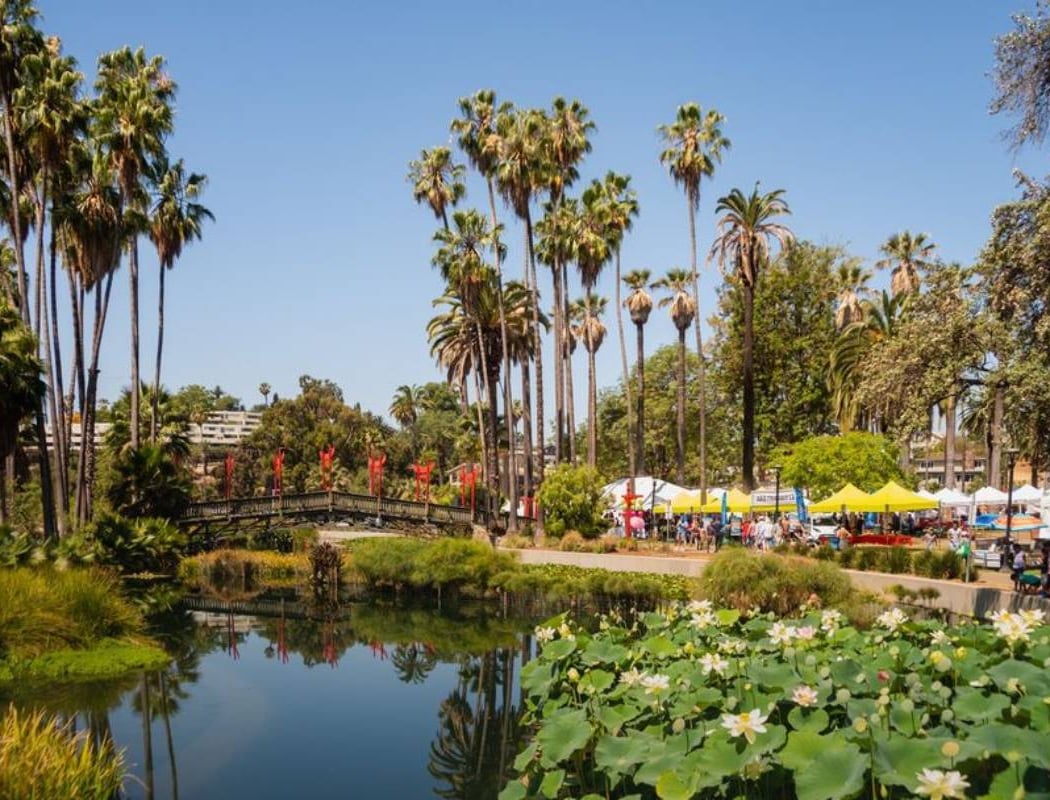 Echo Park Lotus Run 5K 5