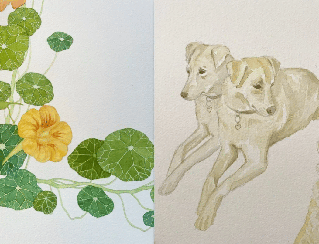 Flora & Fauna – Watercolor Course with Hannah Day 1