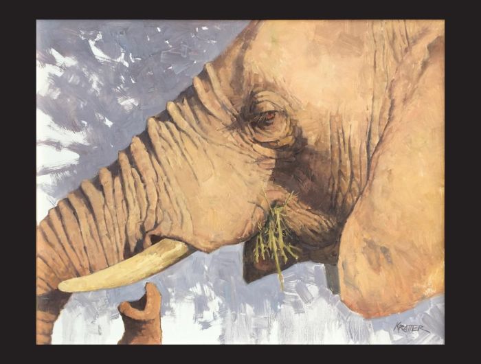 All Creatures Show March 2020 1