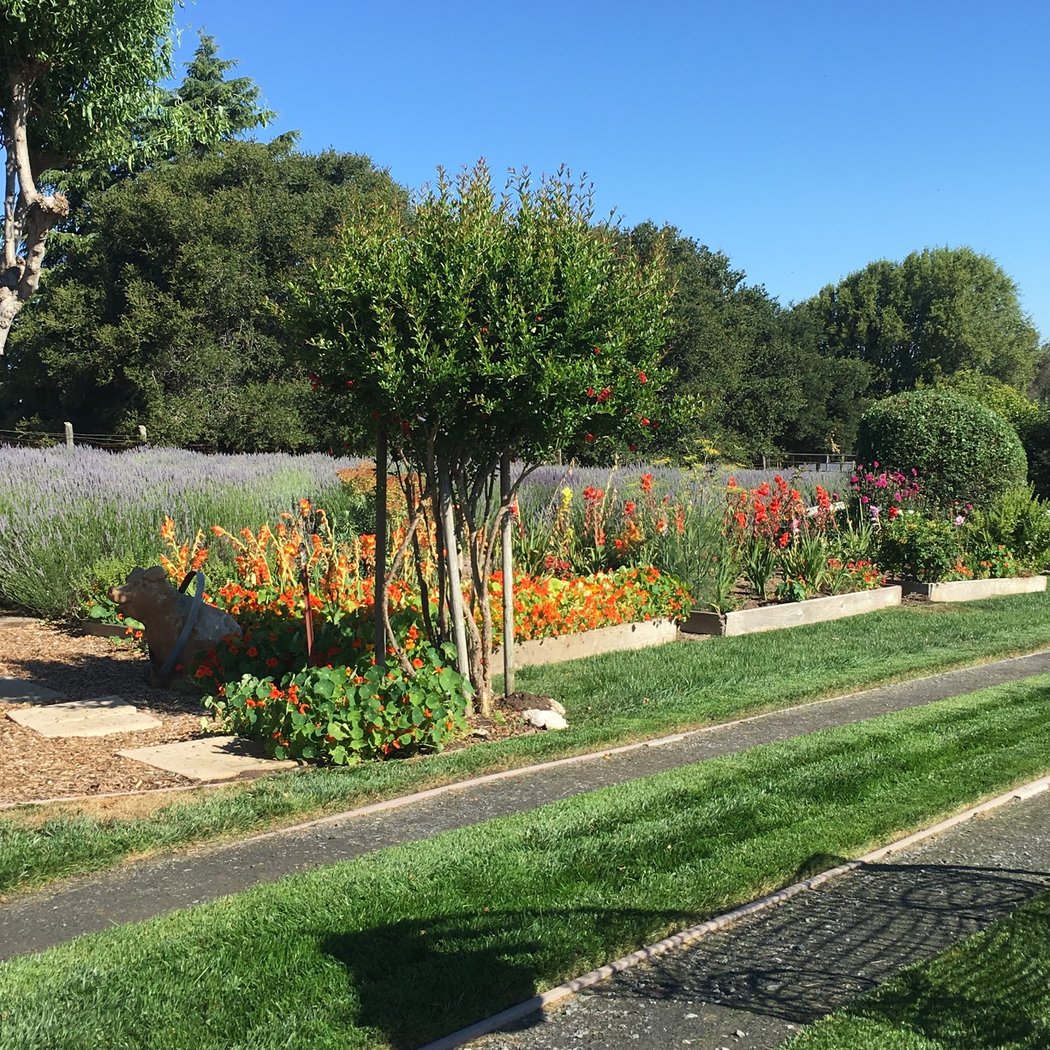 Lavender Bee Farm 3