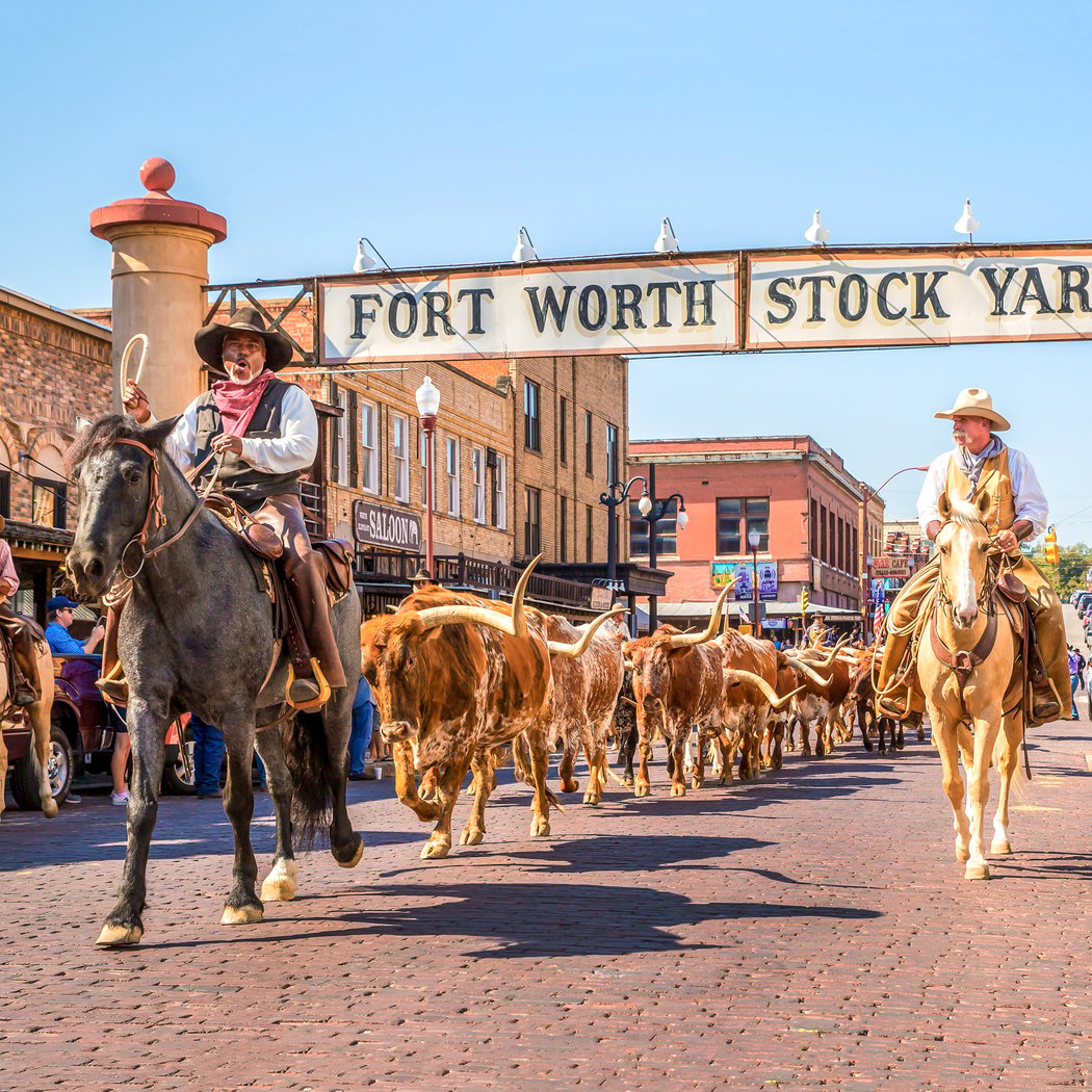 Howdy World Stockyards Style! Fan Zone 2