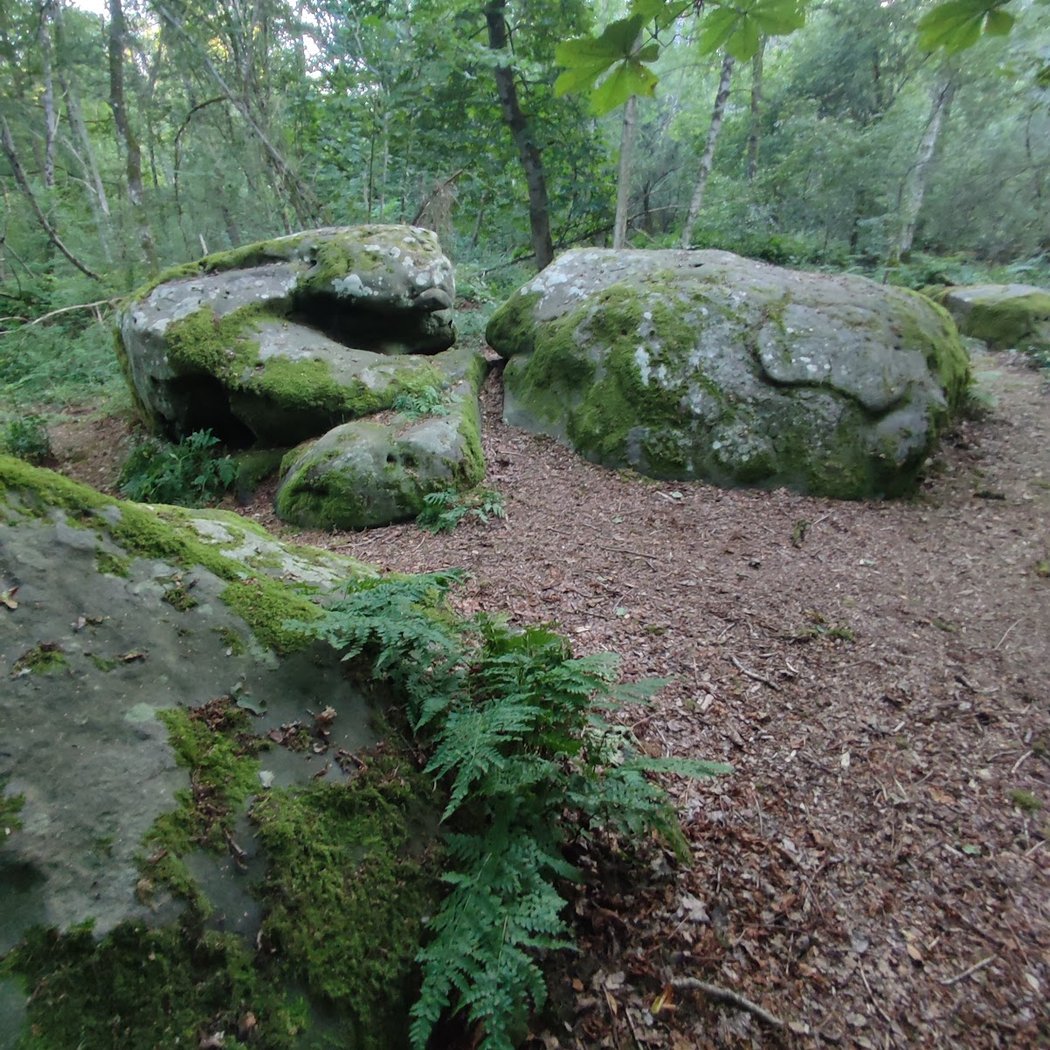Sablière de Pont Grandval 2