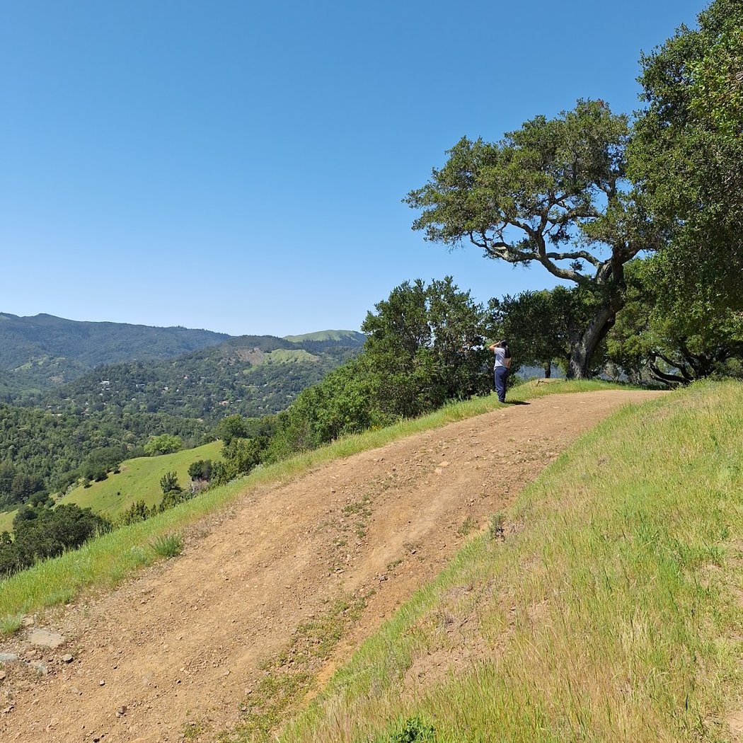 Bald Hill Preserve 1